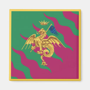 Imán Contrada del Drago Palio di Siena