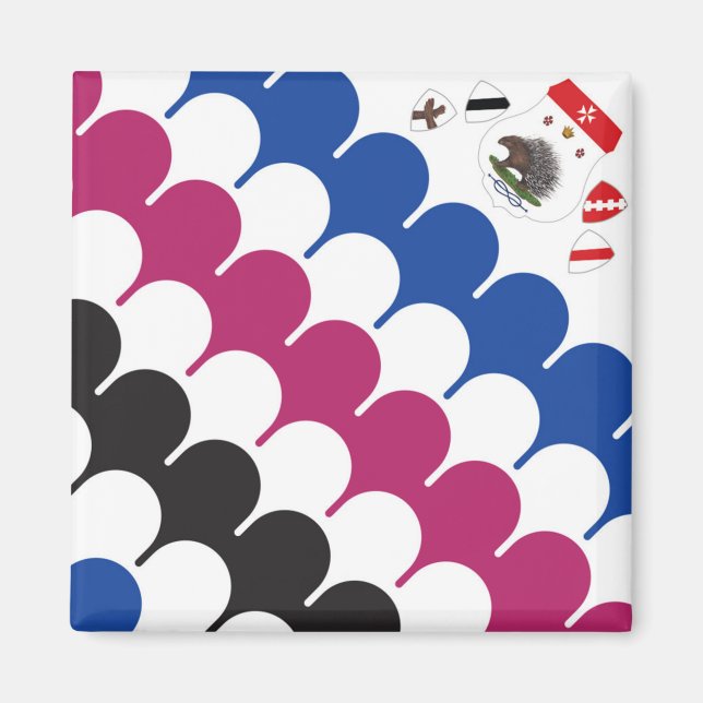 Imán Contrada Sovrana dell' Istrice (Porcupine) Palio (Frente)