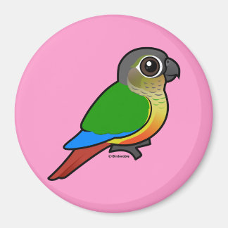 Imán Conure Birdorable