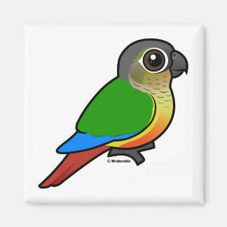 Imán Conure Birdorable