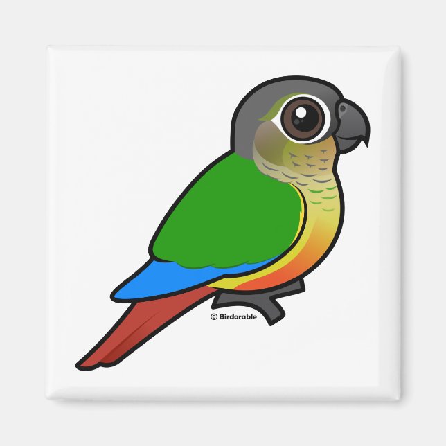 Imán Conure Birdorable (Frente)