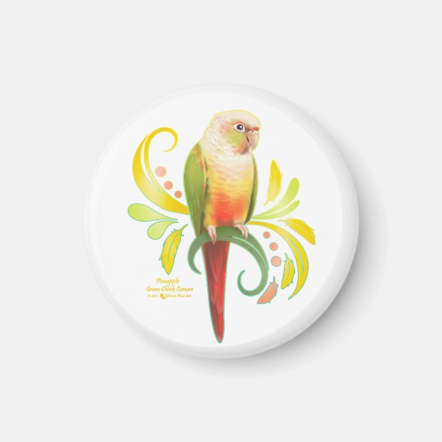 Imán Conure de la mejilla verde de piña (Frente)