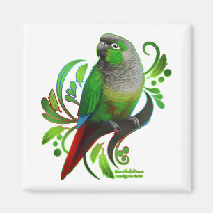 Imán Conure verde barato