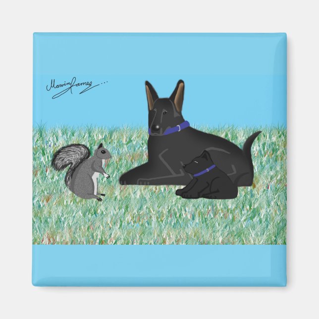 Imán Conversación de ardilla. (Frente)