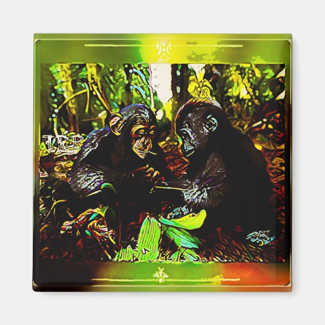 Imán Cooperación Chimp y Gorila 02. (Frente)