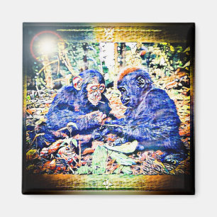 Imán Cooperación en Chimp y Gorila 01