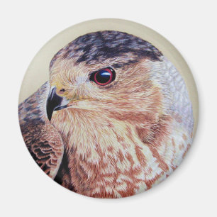Imán Coopers Hawk