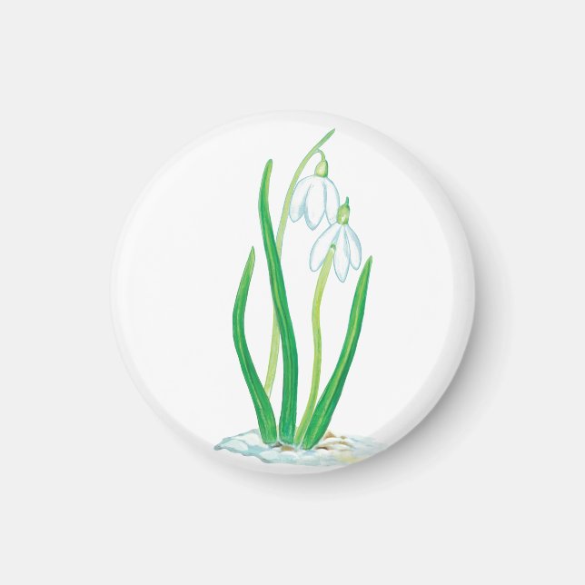 Imán Copas de nieve (Galanthus nivalis) (Frente)