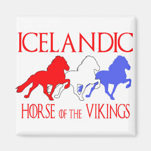 Imán copia horseofthevikings2019