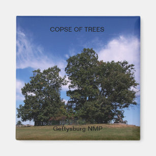 IMÁN COPSE DE ÁRBOLES