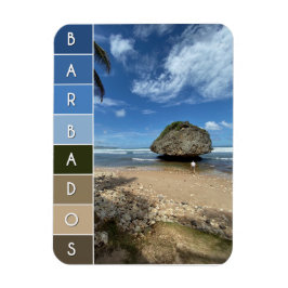 Imán Coral Boulder - Bathsheba, Barbados