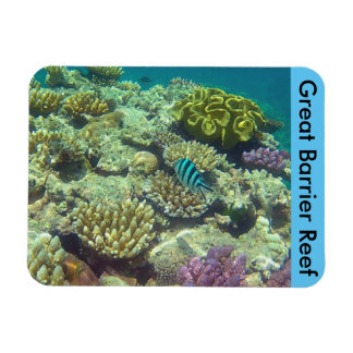 Imán coral de barrera