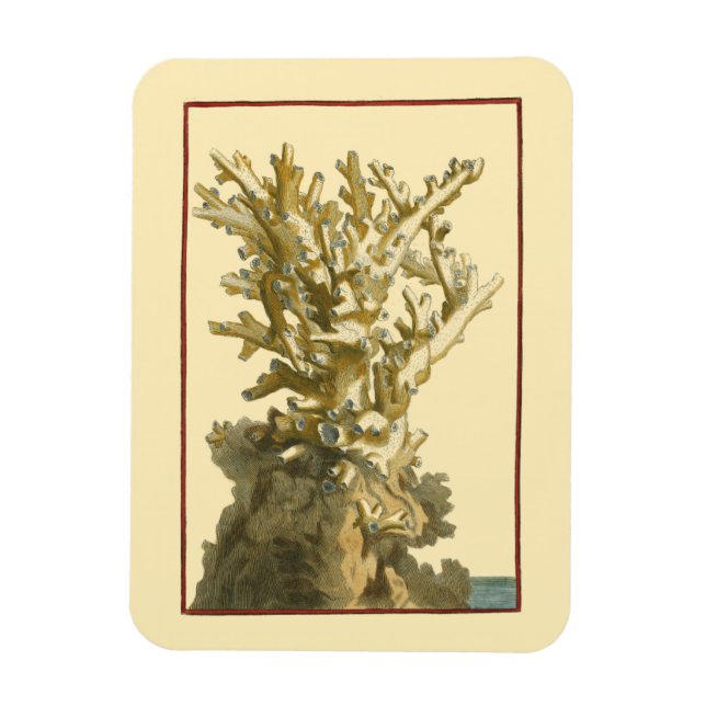 Imán Coral junto al mar (Vertical)