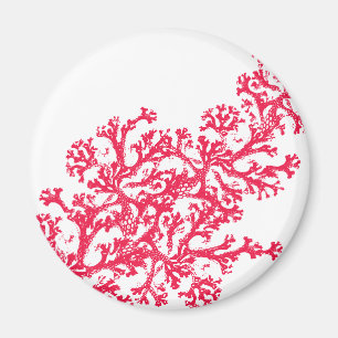 Imán Coral Motif Magnet