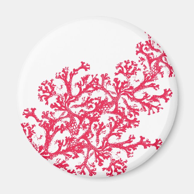 Imán Coral Motif Magnet (Frente)