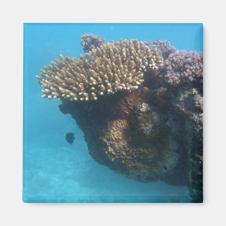 Imán Coral Seascape