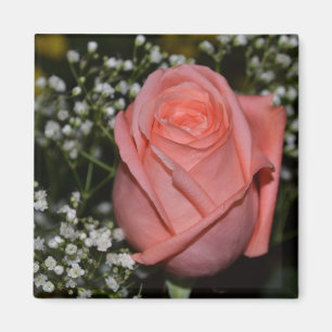 Imán coralino Rose-005
