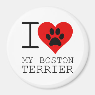 IMÁN CORAZCO MI TERRENO DE BOSTON