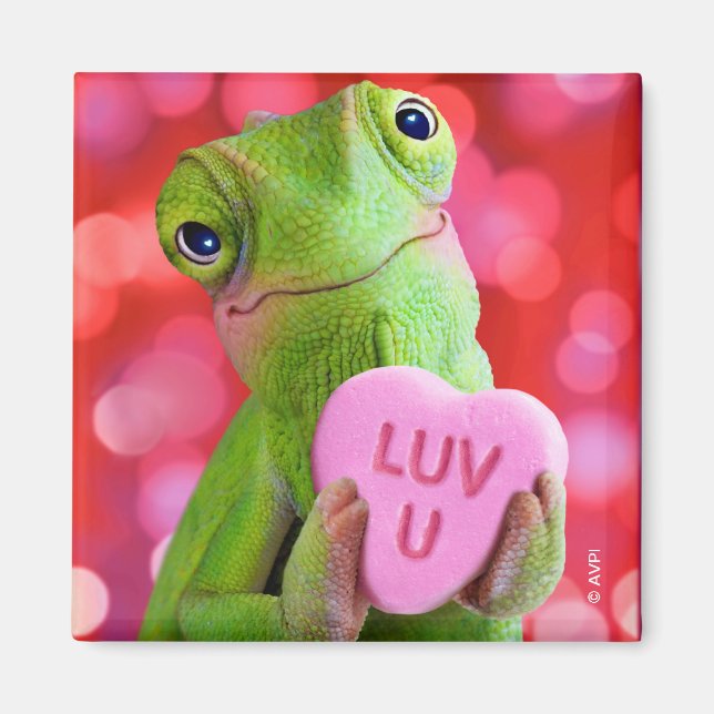 Imán Corazón de Camaleón (Te Amo) (Frente)