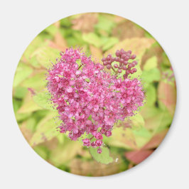 Imán Corazón de flor natural - perforado por flecha.