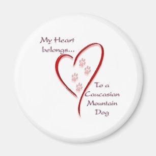 Imán Corazón de perro de montaña caucásico pertenece