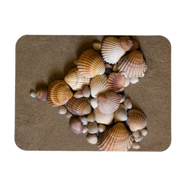 Imán Corazón de San Valentín hecho con conchas (Horizontal)