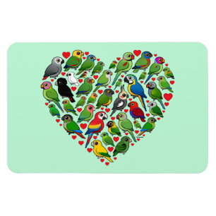 Imán Corazón del loro