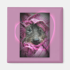 Imán Corazón dulce