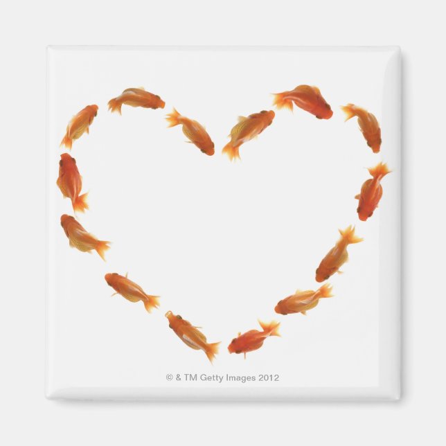 Imán Corazón hecho con peces dorados (Frente)