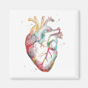 Imán Corazón Humano