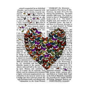 Imán Corazón mariposa
