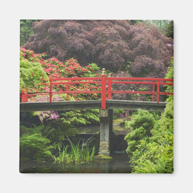 Imán Corazón Puente con rododendros floreciendo, (Frente)