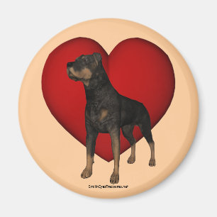 Imán Corazón Rojo del perro Rottweiler