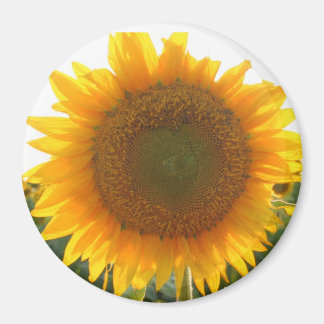 Imán Corazón soleado