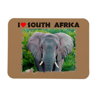 Imán Corazón Sudáfrica joven elefante de toros