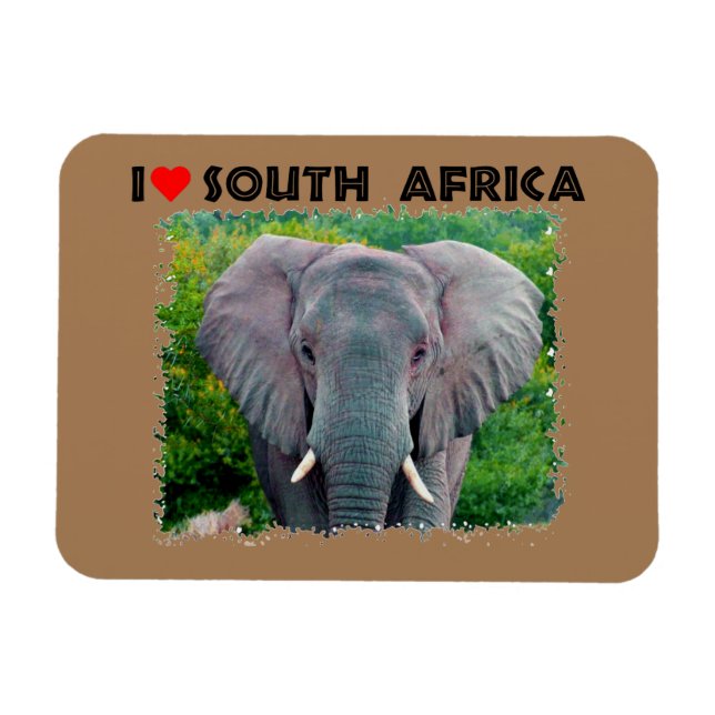 Imán Corazón Sudáfrica joven elefante de toros (Horizontal)