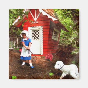 Imán Cordero de Marys