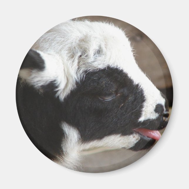 Imán Cordero recién nacido (Frente)