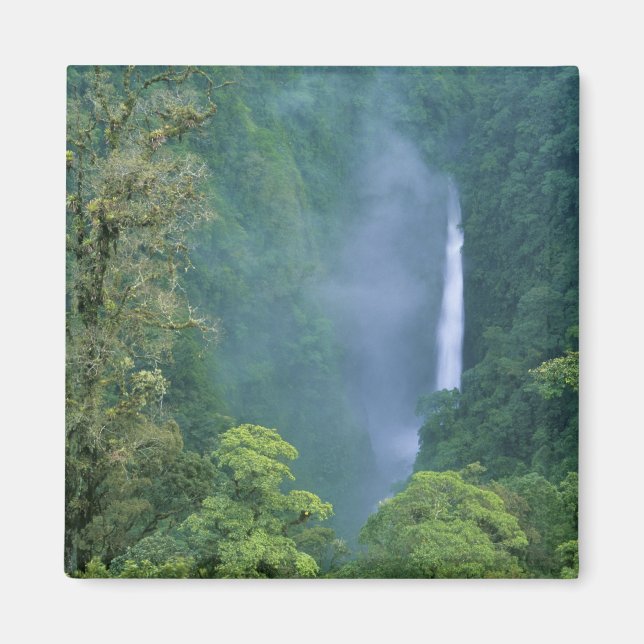 Imán Cordillera Central, catarata Angel (Congo), muchas (Frente)