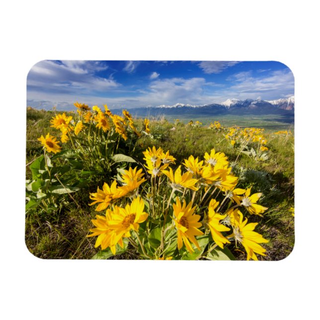 Imán Cordillera de Bison (Horizontal)