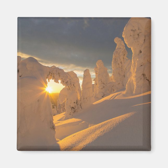 Imán Cordillera | Pescado blanco, Montana (Frente)