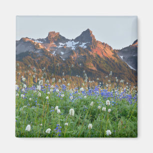 Imán Cordillera Tatoosh y flores silvestres   Mt. Raini