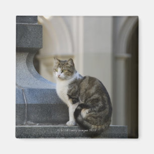 Imán cordoba, argentina