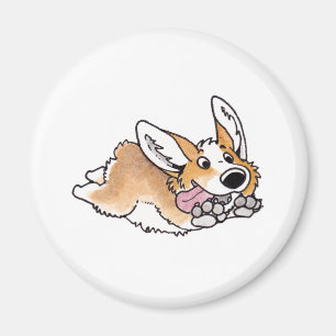 Imán Corgi