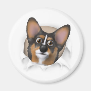 Imán Corgi 2 Galés que revienta hacia fuera