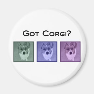 Imán ¿Corgi conseguido? Corgis lindos