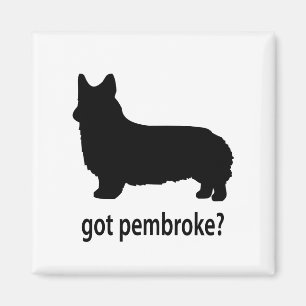 Imán Corgi conseguido del Pembroke