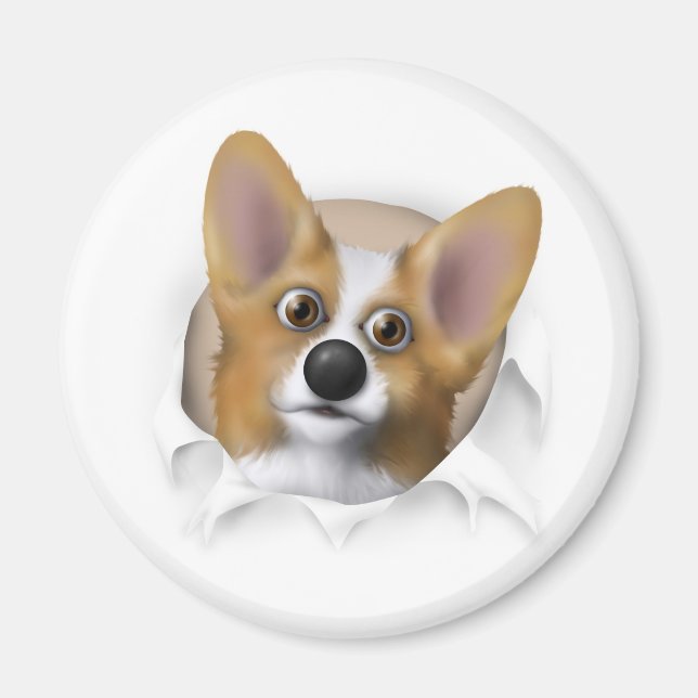 Imán Corgi galés 1 sobresaliendo (Frente)