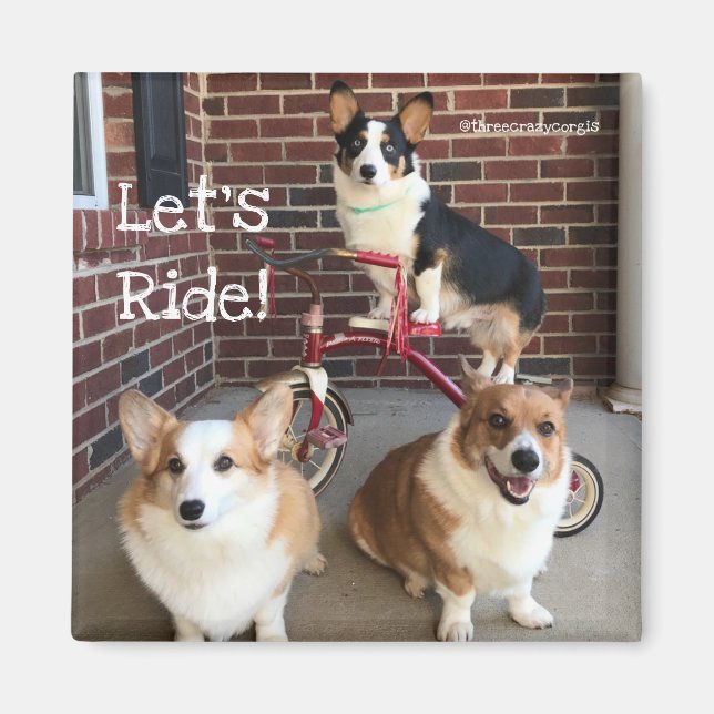 Imán Corgi Magnet (Frente)