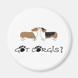 Imán ¿Corgis conseguidos?